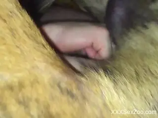 Dude's smooth asshole gets fucked by a kinky dog
