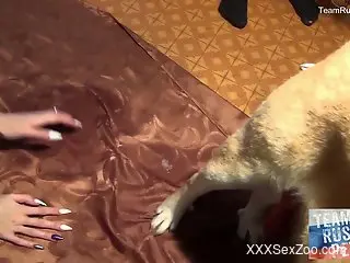 Russian beauty sucking a dog's dick and eating its cum