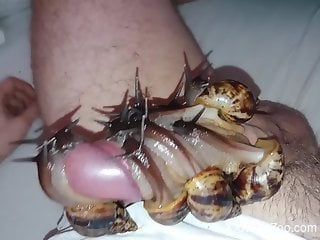 Dude's entire dick gets covered in sexy snails