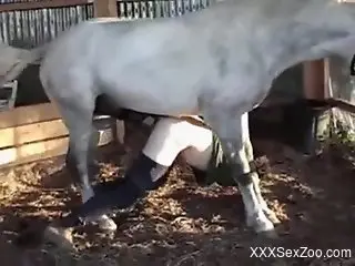 Pasty zoophile dude gets his asshole fucked by a stallion