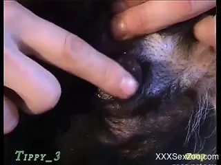 Dude fucks his black dog in a cowgirl position