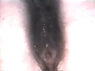 Retro video focusing on a sneaky fuck with a mare