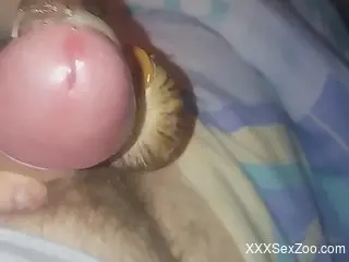 Dude leaking pre-cum while snails slither on his cock