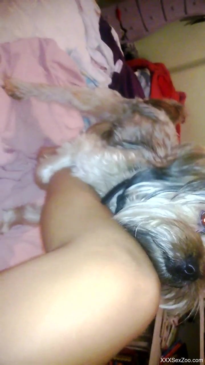 Dog dry-humping its owners sexy leg in pic