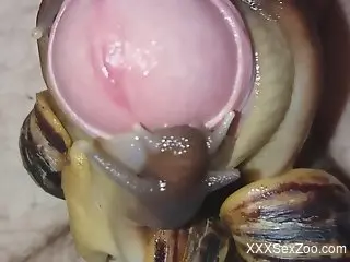 Dude is happy that there are snails on his uncut cock
