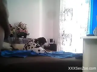 Big dog humps woman then cums inside her wet vagina