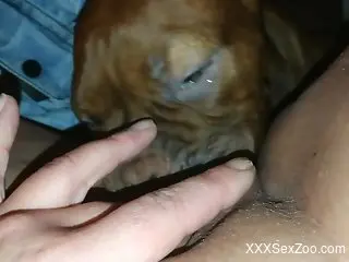 Slutty babe masturbates while getting licked by a dog