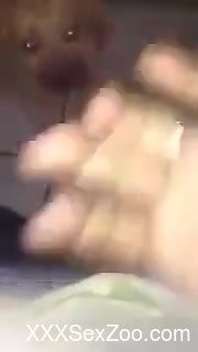 Eager guy throat-fucking a submissive dog on camera - XXXSexZoo.com