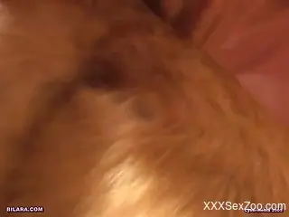Horny blonde eating a dog's ass after eating its cum