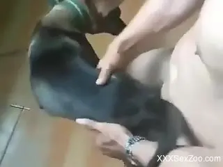 Dude pumping that tight dog pussy from behind