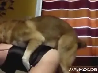 Hardcore doggy style sex with a classy MILF slut