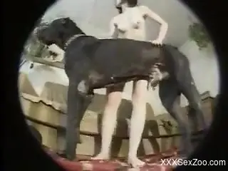Pasty babe with a moist hole getting fucked by a dog
