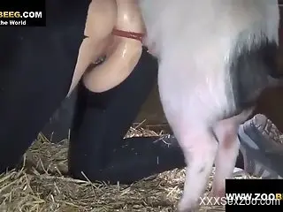 Extreme anal fucking with a chick and her pig