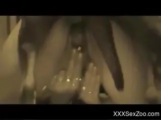 Classy close-up video with hardcore doggy style sex