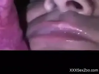 Dude greedily swallowing this dog's delicious cum