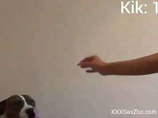 Brunette with a perky butt is about to fuck a dog
