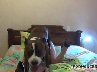Big booty blonde with a trimmed cunt gets fucked by a dog