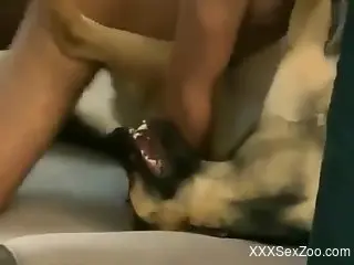 Dude with an eager cock fucking a dog in missionary