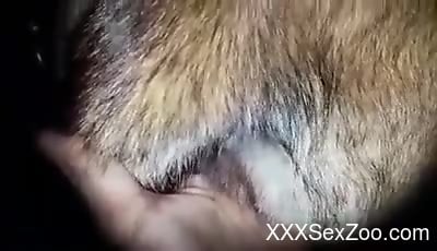 Man fist fucks furry animal while filming himself - XXXSexZoo.com