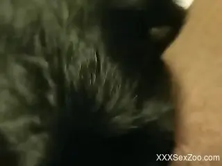 Dude's fuck session with a very sexy black animal