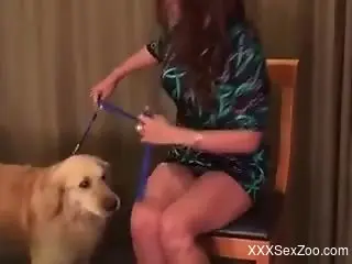 Long-legged babe gets licked and fucked savagely