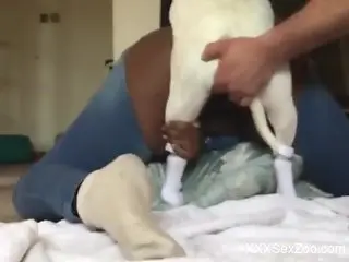 Big booty babe in ripped jeans gets fucked silly