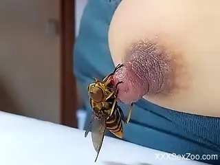 Busty woman loves the stimulation this bee provides