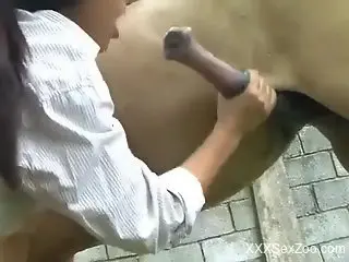 Mature grans the giant horse dick and makes out