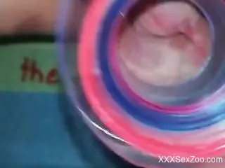 Spider is ready to live inside of this zoophile