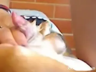 Dog's tiny cock getting deepthroated on camera