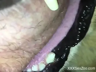 Dude happily face-fucking a submissive animal