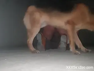 Big booty dude enjoying raw anal with his dog