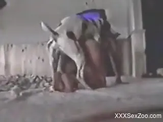 Retro bestiality scene focusing on doggy style sex