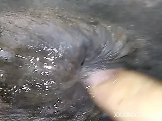 Dude fingering a mare's delicious asshole in POV