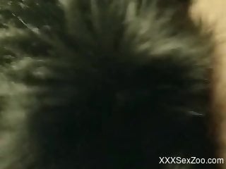 Furry animal closeup sex scenes on live camera