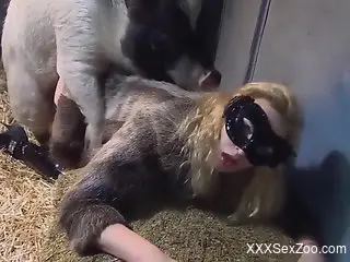 Great compilation of the hottest bestiality oral