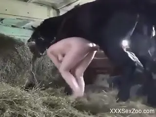 Big boobs babe getting fucked by a hung stallion