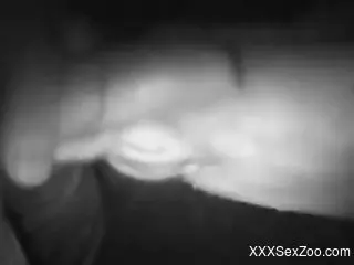 Nighttime fuck session with a small-dicked zoophile