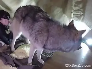 Fishnets-wearing zoophile beauty gets fucked by a dog