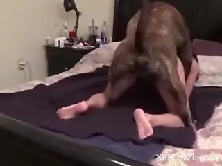 Doggy style fuck scene with a very submissive zoophile