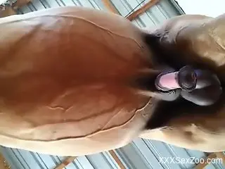 Muscular stallion receives a nice handjob here
