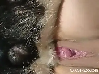 Gorgeous girl getting fucked on all fours by a dog