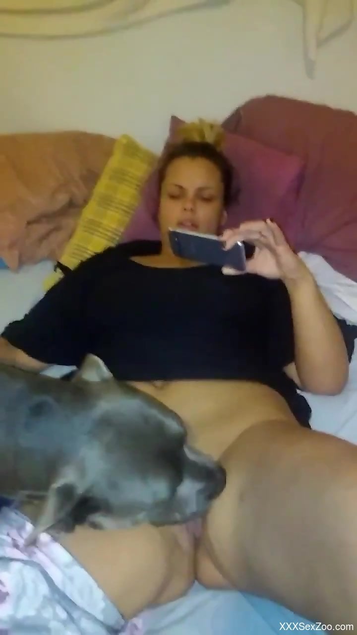 Bbw Zoo Porn - BBW zoophile streams zoo porn while her dog eats her out - XXXSexZoo.com