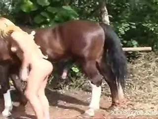 Blond-haired woman takes a stallion's huge cock inside