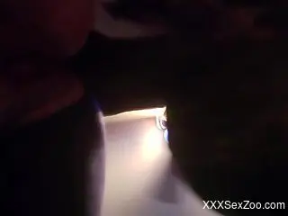 Doggy style fuck scene with a very kinky animal