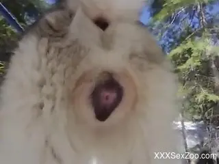 Guy exploring this animal pussy with his hard cock