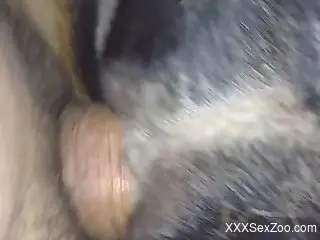 Dude power-fucking a beast's hole from behined