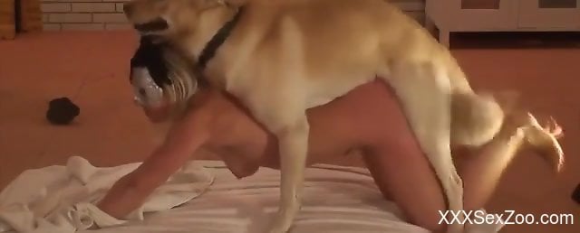 Dog Doggy Style Porn - Compilation of doggy style bestiality fucking - XXXSexZoo.com