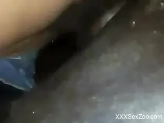 Smooth animal XXX horse porn closeup on cam