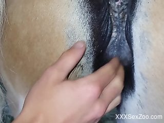 Horny guy finger fucks his female horse in harsh modes